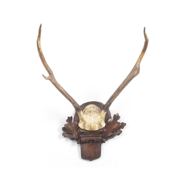 Chelsea House Deer Antlers Wall D Cor Wayfair   Deer Antlers Wall Décor 